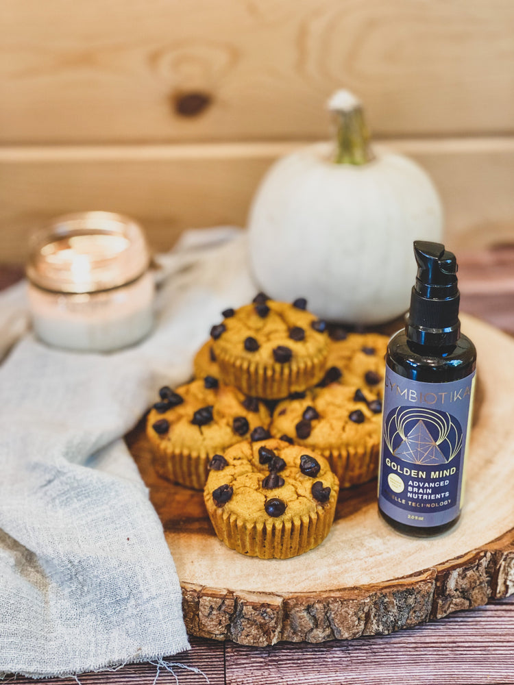 Pumpkin Chocolate Chip Muffins with Golden Mind